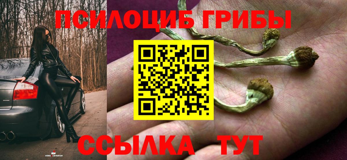 Псилоцибиновые грибы GOLDEN TEACHER  Галлюциногенные грибы мицелий  Гагарин  Вход с VPN 