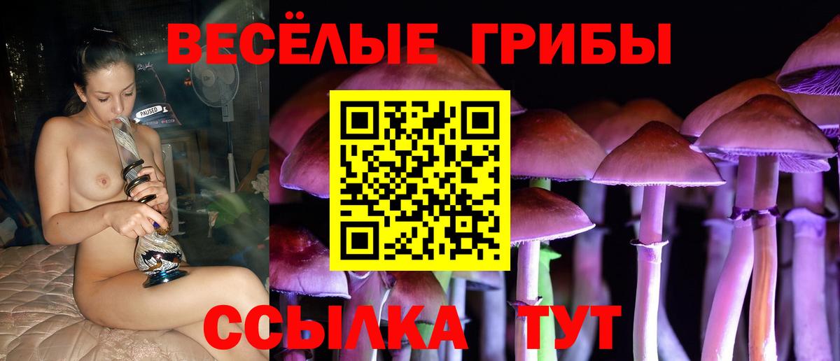 Галлюциногенные грибы Cubensis Гагарин